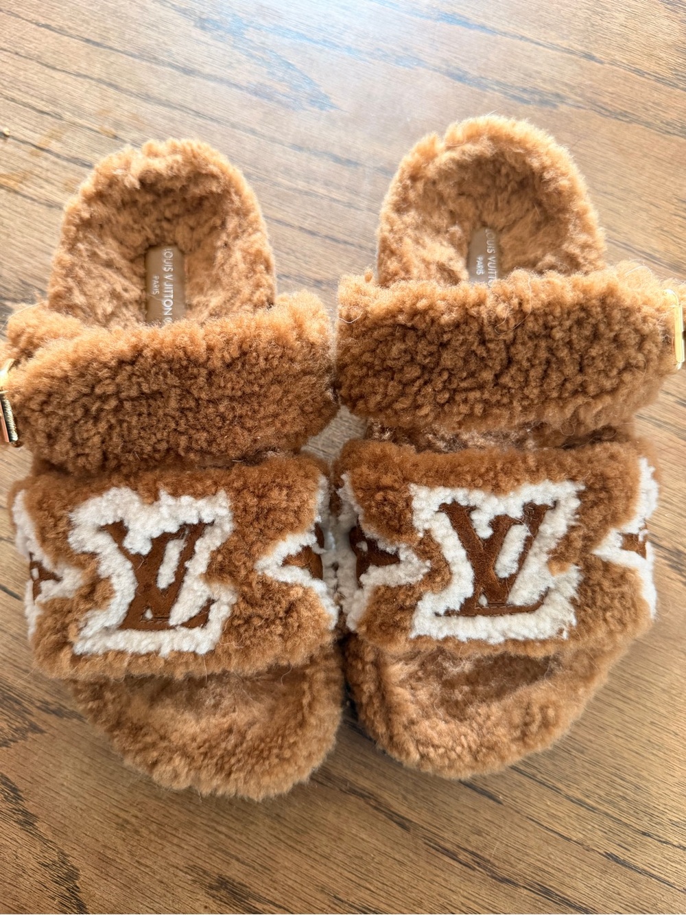 Louis Vuitton Paseo Flat Comfort Mules